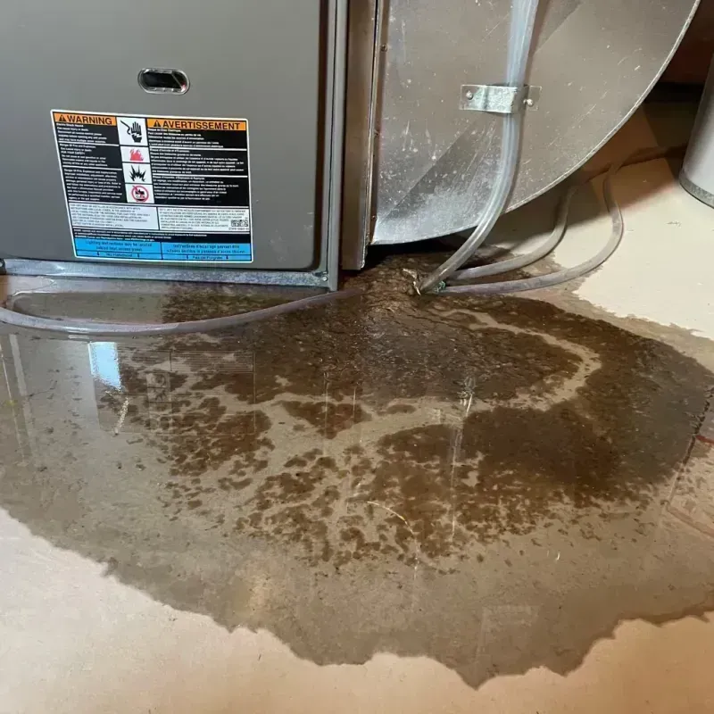 Appliance Leak Cleanup in Weston, WV